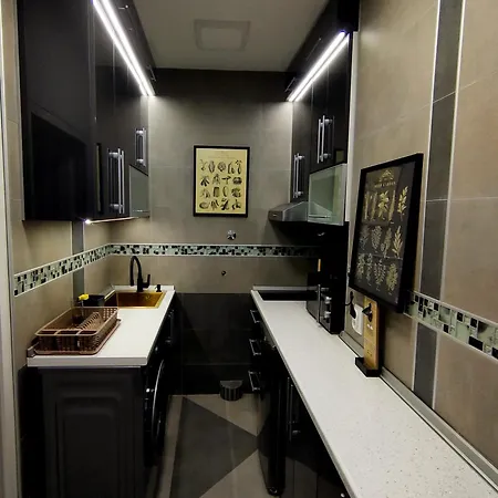 Penthouse Palace Apartment *
