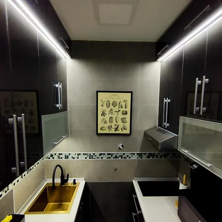 Penthouse Palace Apartment *